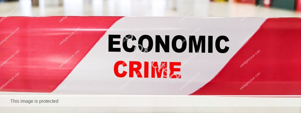 Private detective services - economic crime investigations. 