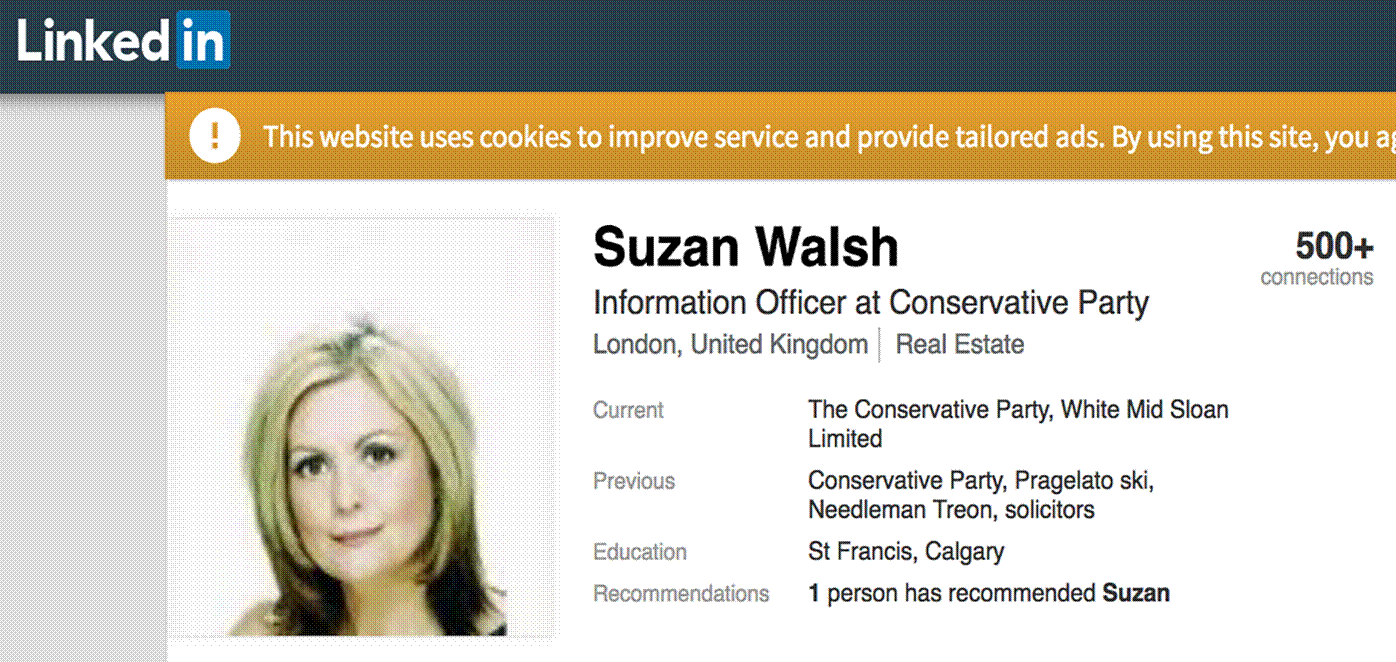 Susan Cohen - AKA Susan Carol Veale, Susan Walsh, Susan Downing, Sarah Bleach, amongst other aliases. 